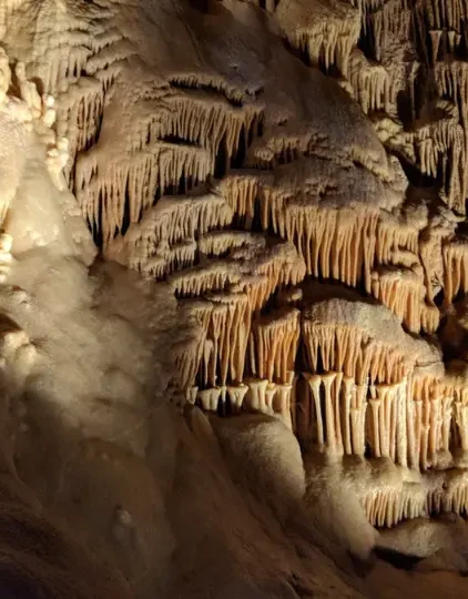 Natural Bridge Caverns